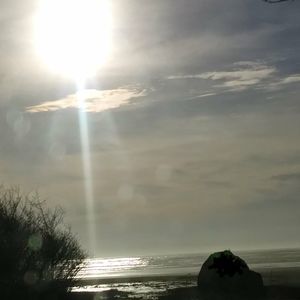 Meet your Posher, Willow s.